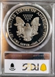 2011-W $1 Silver Eagle 25th Anniversary Set PR70DCAM