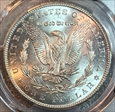 1884-CC $1 MS62