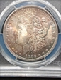 1882 $1 MS64