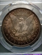 1897 $1 MS64