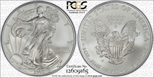 2008-W $1 Burnished Silver Eagle SP70