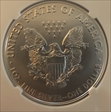 2017 $1 Silver Eagle First Day of Issue ms70