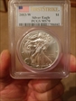 2013-W $1 Burnished Silver Eagle First Strike SP70