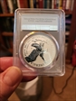 2021-S $1 Silver Eagle Rev PR - Type 2 Designer Edition - First Strike PR70