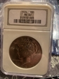 1924 $1 peace dollar MS60