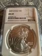 2009 $1 silver eagle MS69