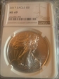 2017 $1 silver eagle MS69
