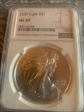2020 $1 silver eagle MS69
