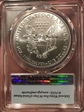 2019 $1 Silver Eagle First Strike MS70
