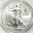 2011 $1 Eagle-25th Anniversary First Strike MS69