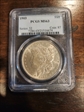 1903 $1 MS63