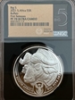 2021 S5R Big 5 Series BUFFALO - First Releases PF70 Ultra Cameo NGC # 6261523-113 PF70 Ultra Cameo