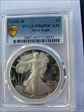 1995-W $1 Silver Eagle PR69DCAM