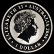 2008-P $1 Koala Ag Koala and Cub SP69