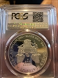 2013-W $1 Silver Eagle PR70DCAM