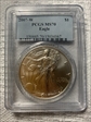 2007-W $1 Burnished Silver Eagle SP70