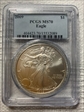 2009 $1 Silver Eagle MS70