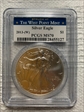 2013-(W) $1 Silver Eagle Struck at West Point MS70