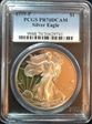 1999-P $1 Silver Eagle PR70DCAM