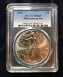 2000 $1 Millennium Set MS69