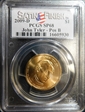 2009-D $1 John Tyler - Pos B Satin Finish SP68