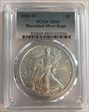 2020-W $1 Burnished Silver Eagle SP69