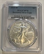 2023-W $1 Burnished Silver Eagle SP70