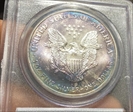 1999 $1 Silver Eagle MS68