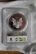 2016-W (2020) $1 Silver Eagle WP Mint Hoard 30th Ann Lettered Edge PR70DCAM