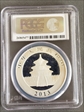 2013 10 Yn Panda Silver PAN-589A MS70