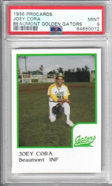 Auction Item 264699305209 Minor League Cards 1990 Procards Glossy