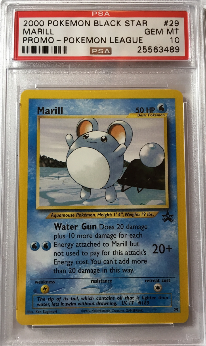 TCG - Pokemon Wizards Black Star Promos (1999-2002) - Basic