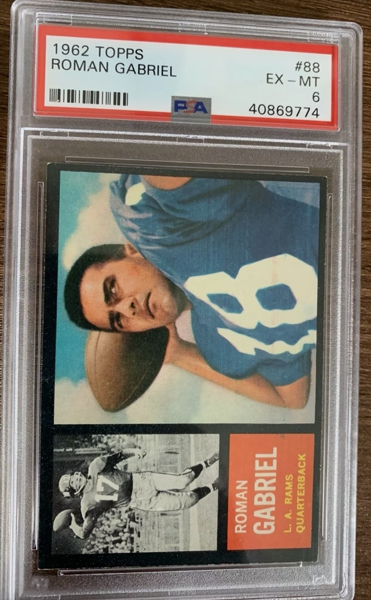 Image Gallery of Roman Gabriel