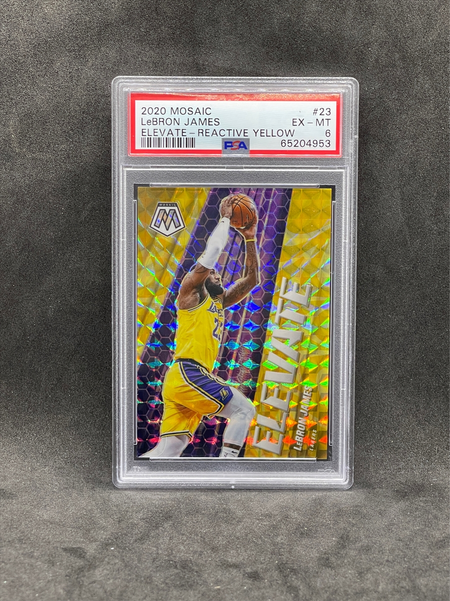 Basketball - LeBron James Master Set: northjerseysports Set Image Gallery