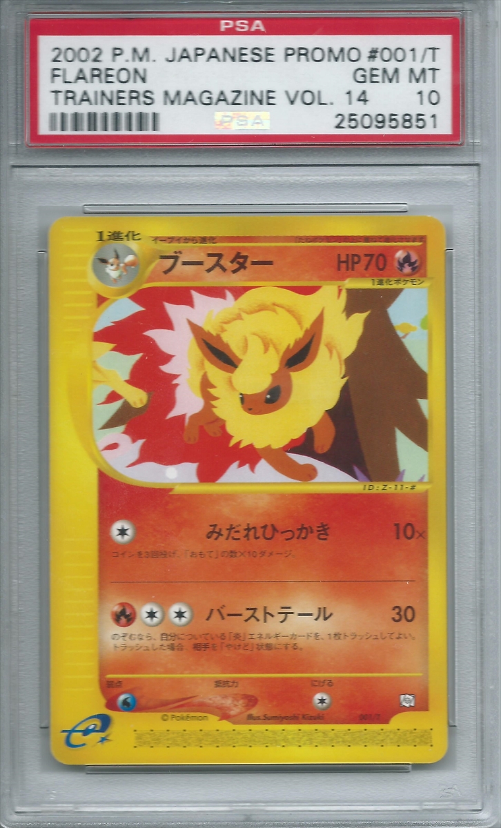 Auction Item 314855042803 TCG Cards 2008 Pokemon Japanese Promo