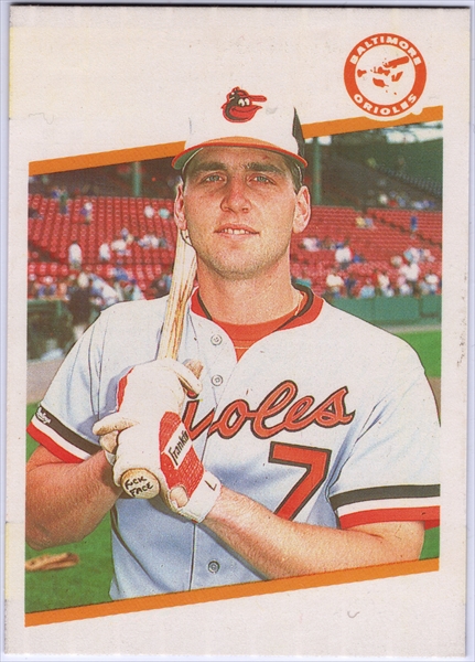 Gerrans Collection - 1989 Fleer Bill Ripken Variations