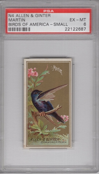 Details about   1889 N13 Allen & Ginter Game Birds GOLDEN PLOVER PSA 6 EX-MT 